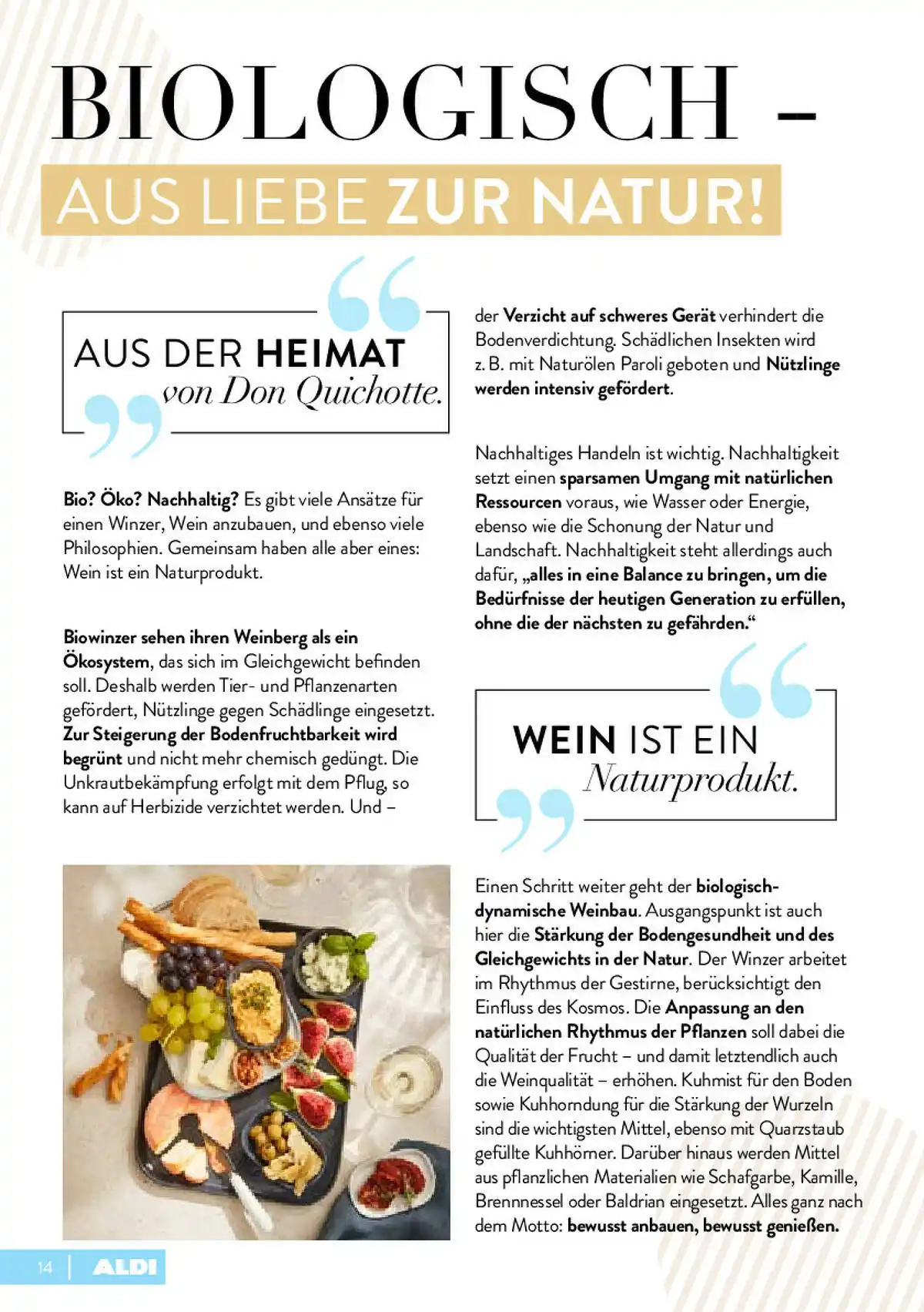 aldi-nord